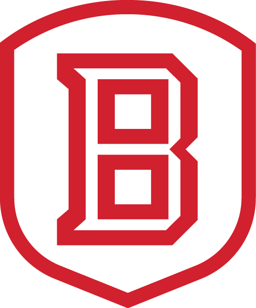 Bradley Braves 2012-Pres Secondary Logo t shirts iron on transfers v2